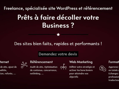 Freelance specialisee WordPress et referencement -Saintes.jpg
