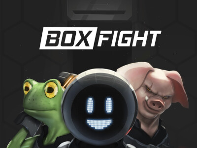 boxfight.jpg